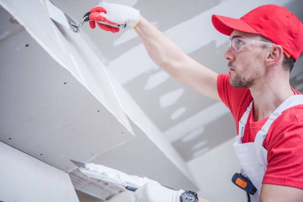 Best Fire-Damaged Drywall Repair  in Eagle Lake, TX